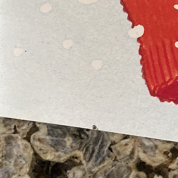 Kid’s book - Picture 8 of 8